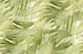 Green Hand-painted Watercolor Wavy Foliage Texture