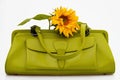 Green handbag Royalty Free Stock Photo