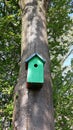 Green handmade wooden bird nest.