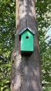 Green handmade wooden bird nest.