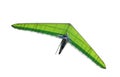 Green hang glider wing isolated