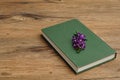 A green hardcover story book with purple flowers