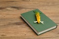 A green hardcover story book with yellow flowers