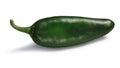 Green Hatch Numex chile, paths Royalty Free Stock Photo