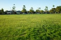 The green and healthy grass in a public park with a view of suburban houses in the background. Melbourne, VIC Australia.