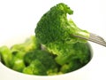 Green healthy meal Royalty Free Stock Photo
