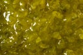 Green Healthy PIckle Relish Royalty Free Stock Photo