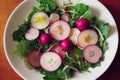 Green healthy radish salad in white plate on table