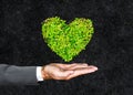 Green heart Royalty Free Stock Photo