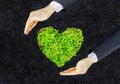 Green heart Royalty Free Stock Photo