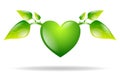 Green heart with leaves isolated