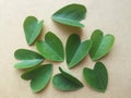 Green heart leaves on wood floor