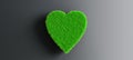 Green heart made of grass isolated on black background, concept of love for ecology, preservation, organic production