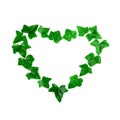 Green heart pattern made of ivy leaves on white background. Flat lay Royalty Free Stock Photo