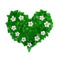 Green heart pattern made of ivy leaves and white flowers. Creative natural arrangement made of green ivy leaves Royalty Free Stock Photo