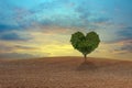 Green heart shaped tree Royalty Free Stock Photo