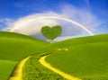 Green heart-shaped tree on a spring meadow-symbol of love and Valentine`s Day Royalty Free Stock Photo