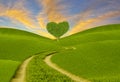 Green heart-shaped tree on a spring meadow-symbol of love and Valentine`s Day Royalty Free Stock Photo