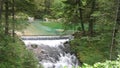 The green heart of Slovenia