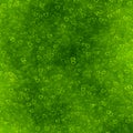 Green hearts background of Valentine's day. Love grunge texture Royalty Free Stock Photo