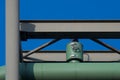 Green heat pipeline valve