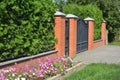 Green hedge fence with brick and metal door and gate. Live fencing Royalty Free Stock Photo