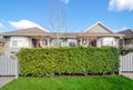 Green hedge fence with two houses in the background Royalty Free Stock Photo