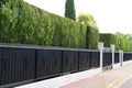 Green hedge Metal Fence of residential house luxury Royalty Free Stock Photo