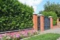 Green hedges or green fence design with metal door and metal garage gate. Green hedge from thyja occidentalis