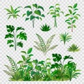 Green herbal elements. Decorative beauty nature ferns and leaf plants or herbs greens isolated vector set Royalty Free Stock Photo