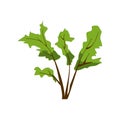 Green herbal plant on white. Bush with brown branches, app game UI or web element icon. Vector illustration