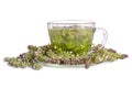 Green herbal tea Royalty Free Stock Photo