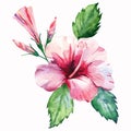 Green herbal tropical wonderful hawaii floral summer tropic pink red flower with buds and green leaves