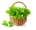 Green herbs in braided basket