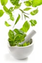 Green herbs falling into mortar and pestle Royalty Free Stock Photo