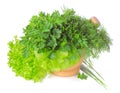 Green herbs in a pounder on white