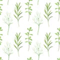 Green Herbs Seamless Pattern