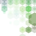 green hexagon background. layout for advertising. template for presentation. banner polygonal style. eps 10 Royalty Free Stock Photo