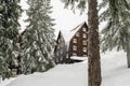 Green high spruce pine trees and vintage old retro wooden village rural house covered in snow in winter forest in mountains,nature Royalty Free Stock Photo