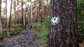 Green hiking trail marker on a tree pointing the direction in the woods