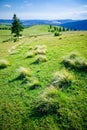 Green hill Royalty Free Stock Photo