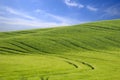 Green hill and blue sky Royalty Free Stock Photo