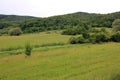 Green hill panorama view, preserved nature environment Royalty Free Stock Photo