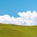 Green hill and white fluffy clouds over it. Cows grazing on the top Royalty Free Stock Photo