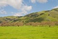 Green hills Royalty Free Stock Photo
