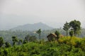 Green Hills at Bandarban