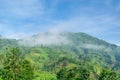 green hills with blue sky and white clouds Royalty Free Stock Photo