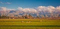 Green hills in countryside of Malborough region in New Zealand