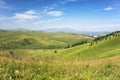 Green Hills Covered by Trees and Blue Sky with White Clouds Royalty Free Stock Photo