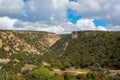 Green hills of Cyprus in spring Royalty Free Stock Photo